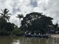 Le Maroni, la voie d’accès aux villages d’Amazonie