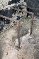 « Papillon gravé dans la pierre »